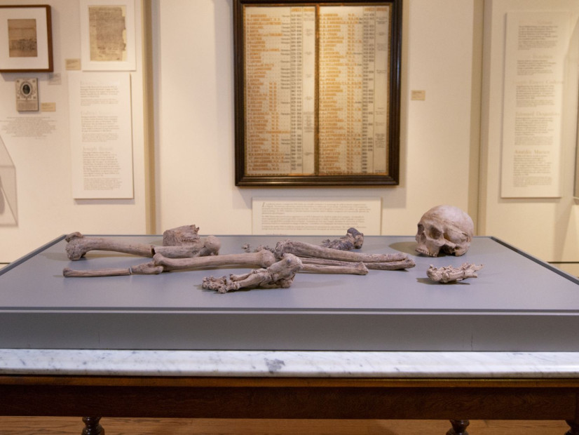 Corpus insolite : Jana Sterbak - Guided tour with the curator (English)